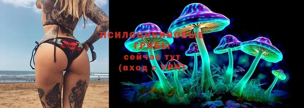 mix Алексеевка