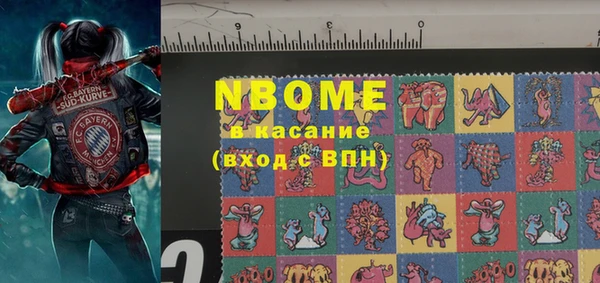 стаф Алзамай